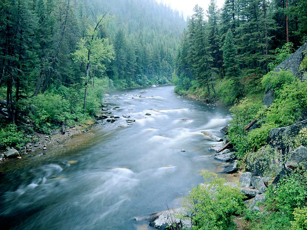 Rock Creek Mark A. Wilson photo