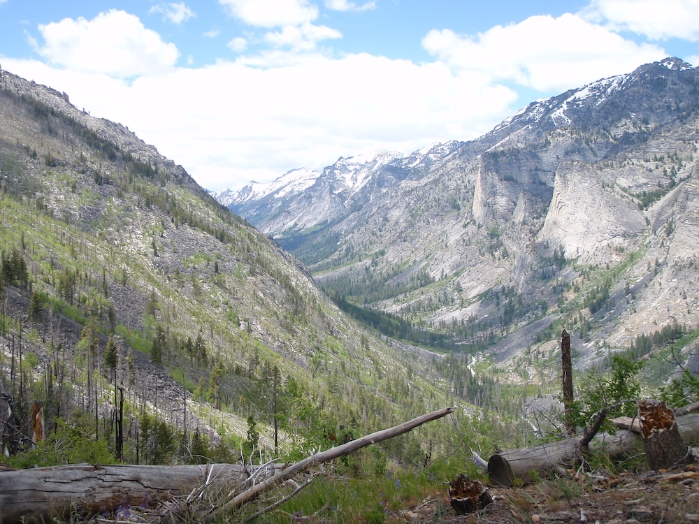 Flathead Lolo Bitterroot Citizen Task Force Nice Canyon View