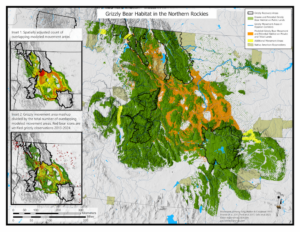 Flathead Lolo Bitterroot Citizen Task Force Grizzly Bear Habitat In The Northern Rockies