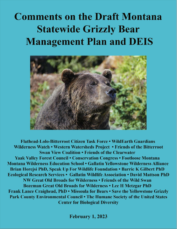 Flathead Lolo Bitterroot Citizen Task Force et al Comments On Draft Montana Statewide Grizzly Plan and DEIS