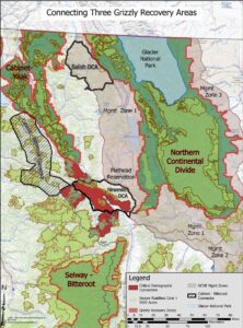 Flathead Lolo Bitterroot Citizen Task Force Map Connecting Three Grizzly Recovery Areas