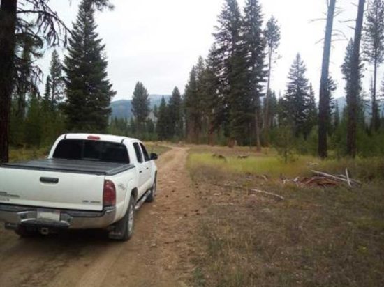 Flathead Lolo Bitterroot Citizen Task Force Road Density and Grizzly Bear in the Ninemile Demographic Monitoring Area