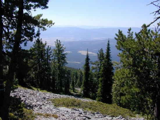 Flathead Lolo Bitterroot Citizen Task Force Baldy Mountain
