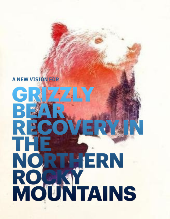 Flathead Lolo Bitterroot Citizen Task Force New Vision for Grizzly Bear Recovery in the Northern Rocky Mountains